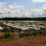 Refugee camp in Cote d'Ivoire
